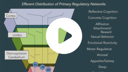video thumbnail seven slide series for human brain