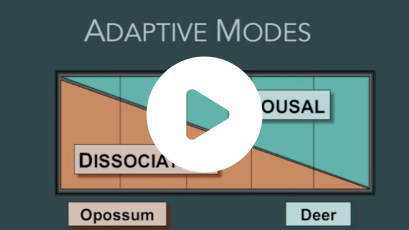 video thumbnail seven slide series for threat response patterns